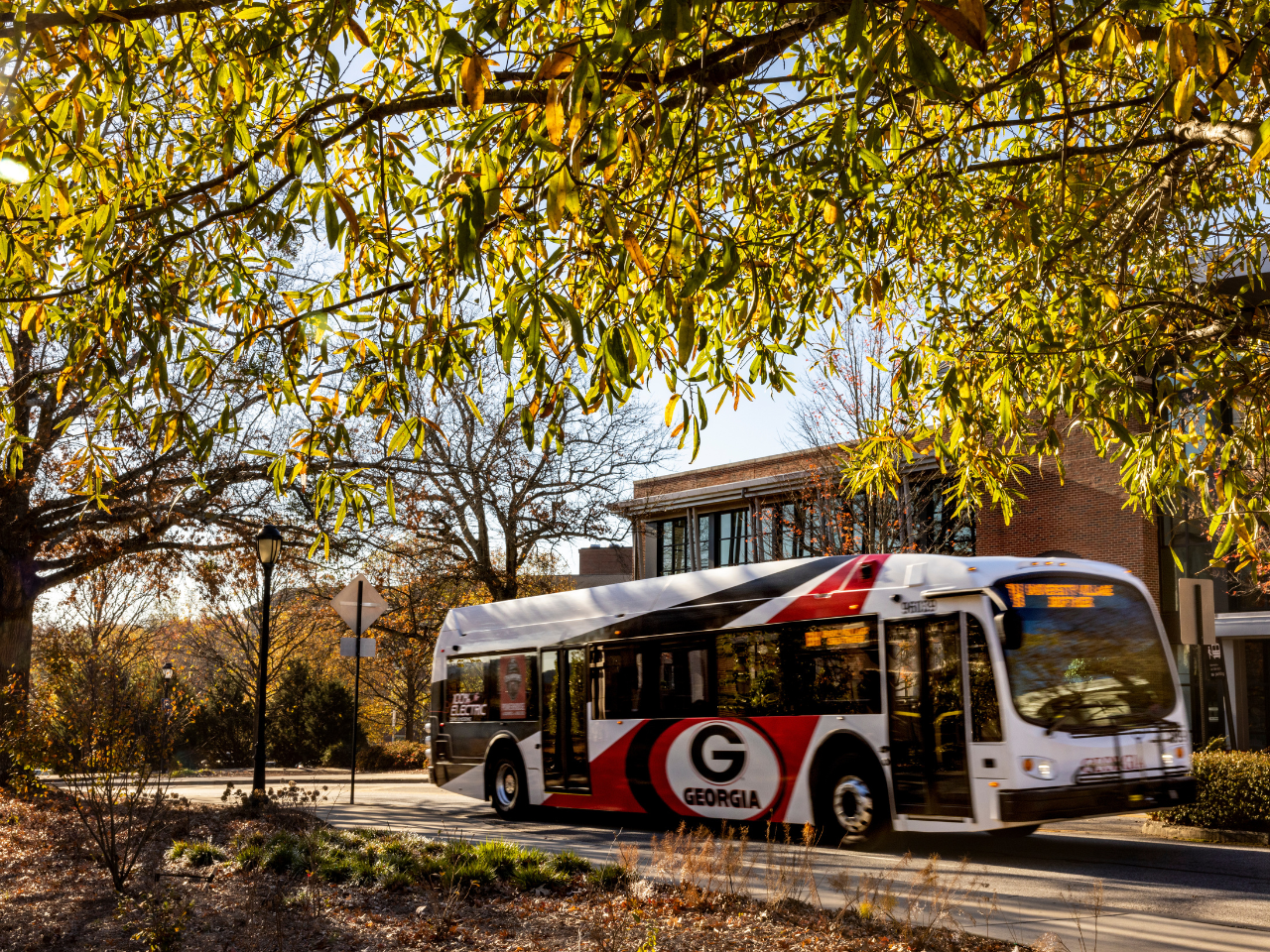 View of a campus transit bus on Carlton Street framed by trees full of colorful fall leaves and the Coliseum Training Facility in the background.