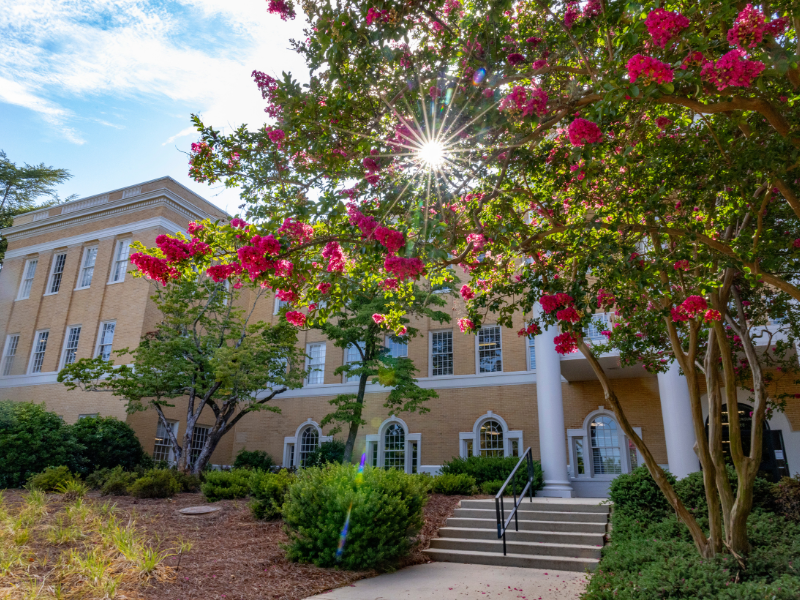 Data Roles & Descriptions