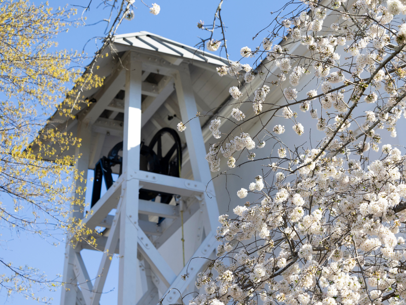 Academic Program Review